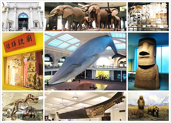 Natural History.jpg Natural History.jpg