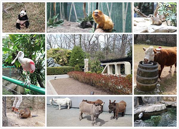 Zoo.jpg Zoo.jpg