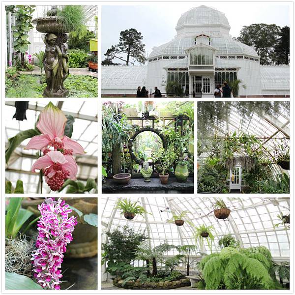 Conservatory of Flowers.jpg Conservatory of Flowers.jpg