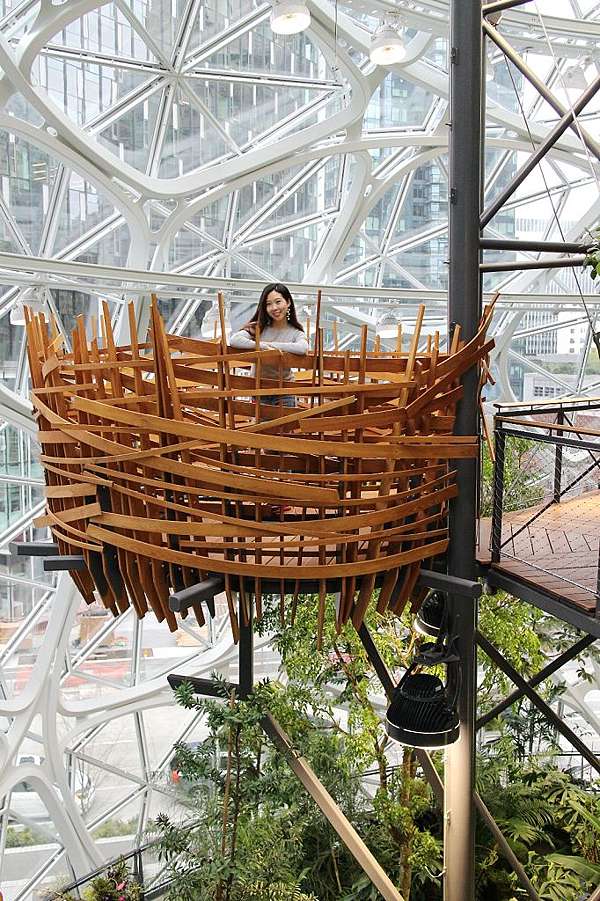旅遊 西雅圖amazon亞馬遜總部參觀 熱帶舒適的玻璃溫室the Spheres X 無人商店amazon Go Michelle 米雪兒奇幻樂園 痞客邦