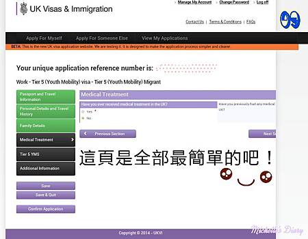 Tier 5 YMS Visa Application 9