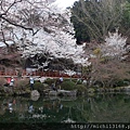 醍醐寺 觀音堂