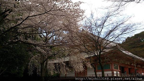 醍醐寺 金堂