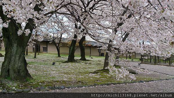 東寺 2