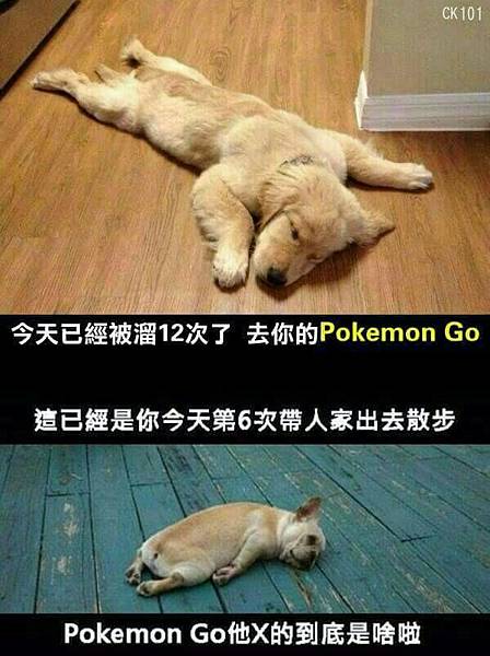  pokemon go!