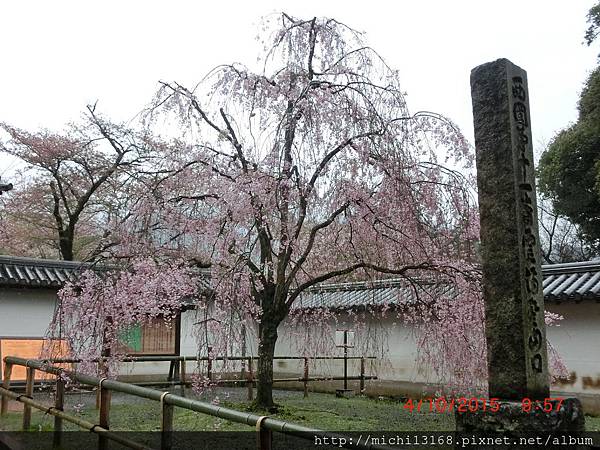 醍醐寺 1