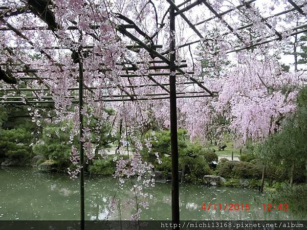 平安神宮下 晴天漫步 痞客邦 平安神宮下 晴天漫步 痞客邦