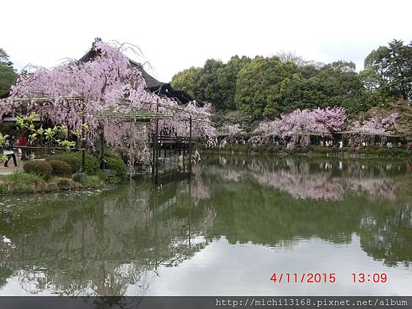 平安神宮 14