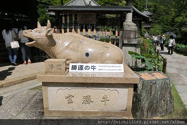 三室戶寺 15