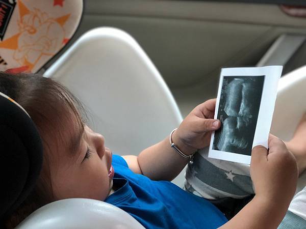 四哥跟五寶的初次見面