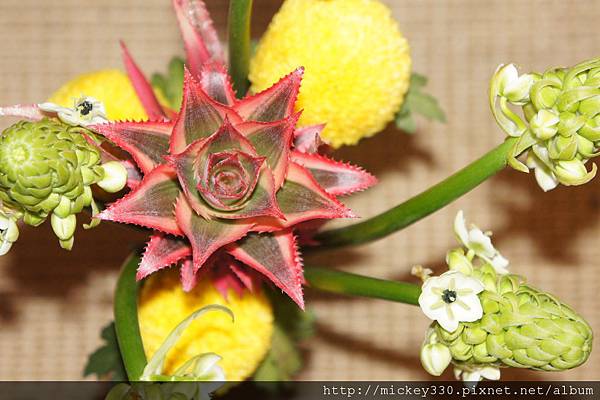 2012 過年採花插花樂無窮~其一~搭配日本花器~好讚 (6).JPG