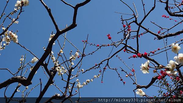 2013 3 5tokyo day3  (50)