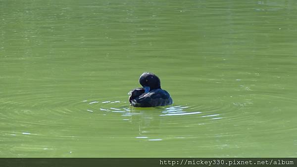 2013 3 5tokyo day3  (62)