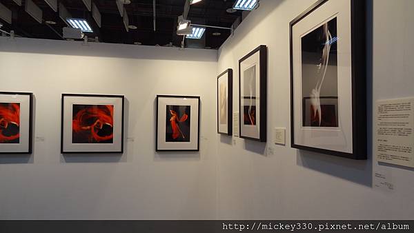 2013 第三屆ART REVOLUTION台北新藝術博覽會 (26)