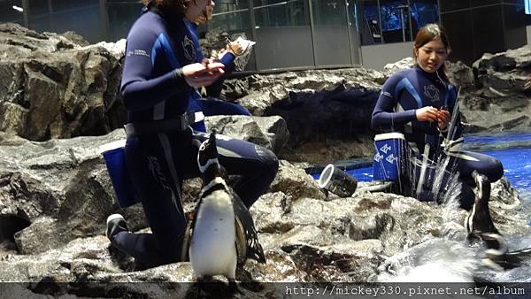 2014 4 15晚上在新宿吃吃~16早上到晴空塔水族館與樓上餐廳吃吃 (16)