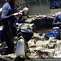 2014 4 15晚上在新宿吃吃~16早上到晴空塔水族館與樓上餐廳吃吃 (16)