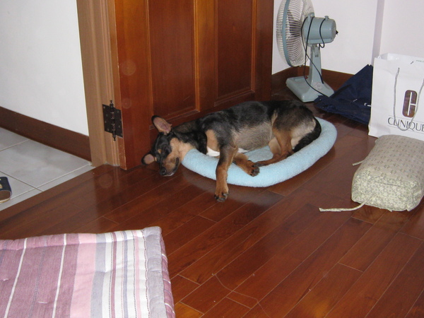 IMG_8176.JPG