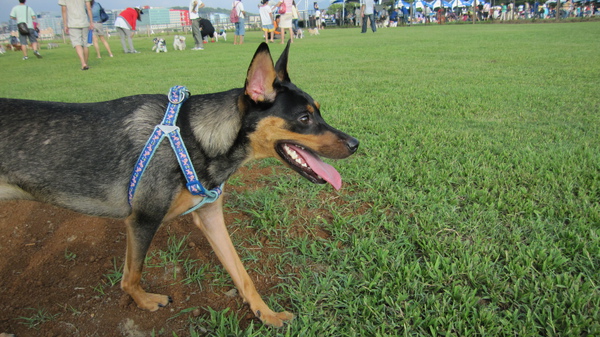 IMG_1926.JPG