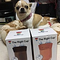 TheRightCup_170427_0002.jpg