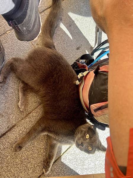 2022 summer trip (39) Day 39 H