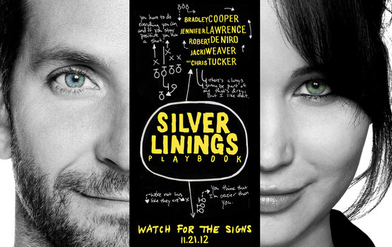 The Silver Linings Playbook