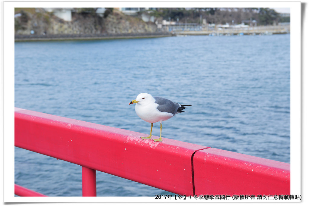 福浦島-006