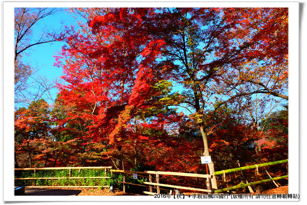 北野天滿宮-015