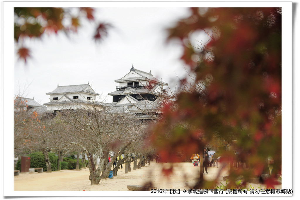 松山城-0046