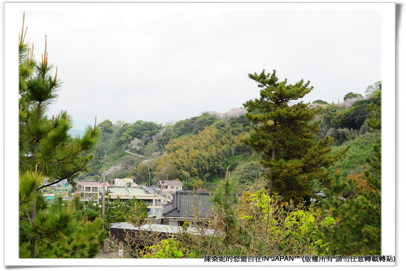 櫻島-046