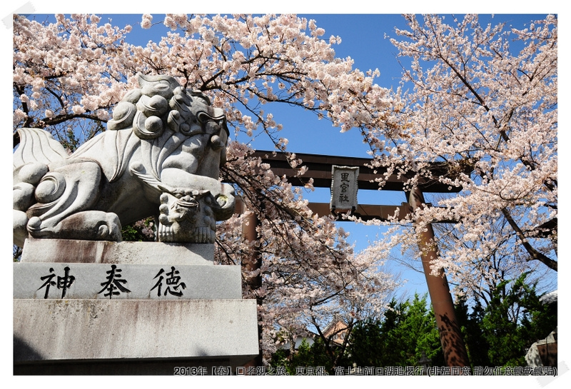 淺間神社044