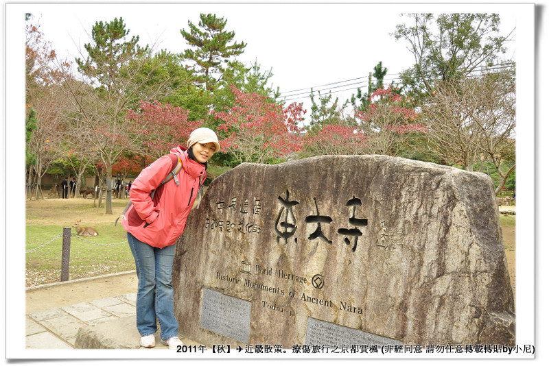 東大寺001