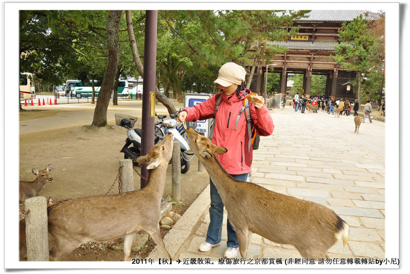 東大寺003