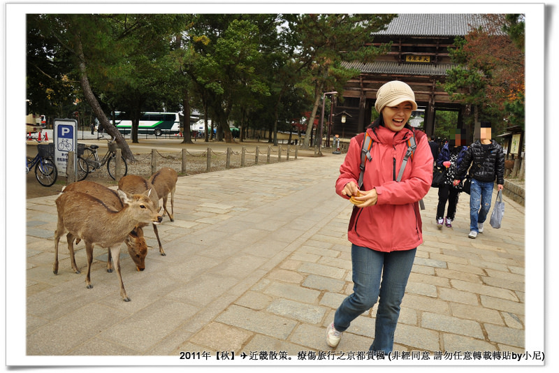 東大寺005