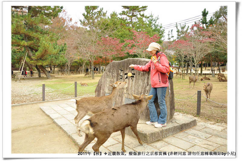 東大寺006