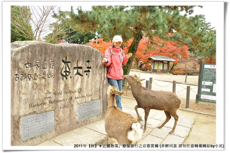 東大寺007