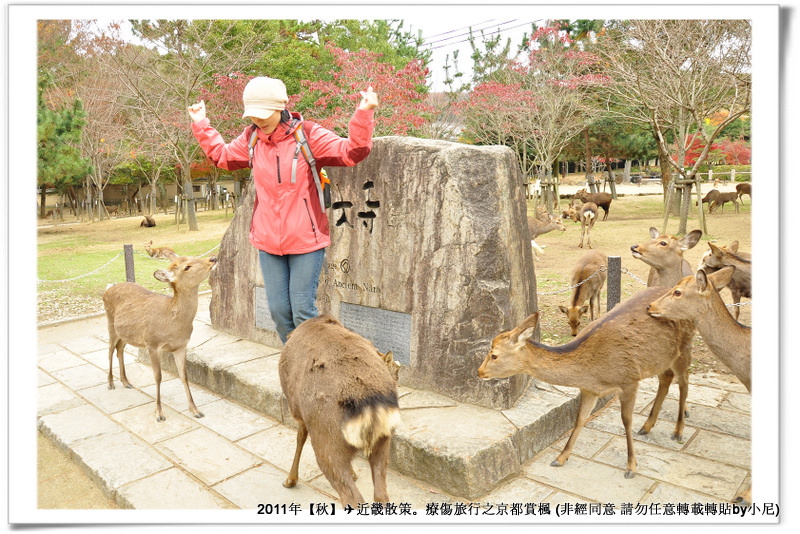 東大寺012