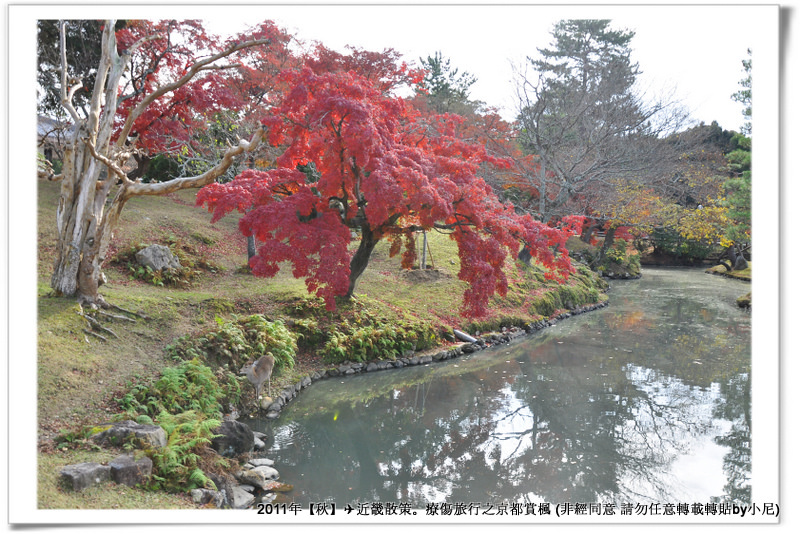 奈良公園001