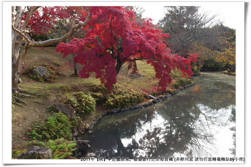 奈良公園002