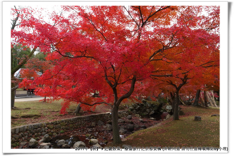 奈良公園013