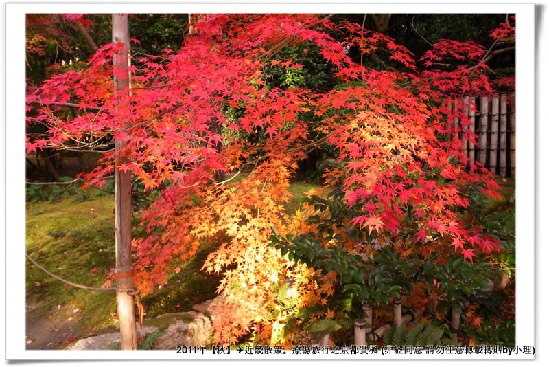 龍安寺018