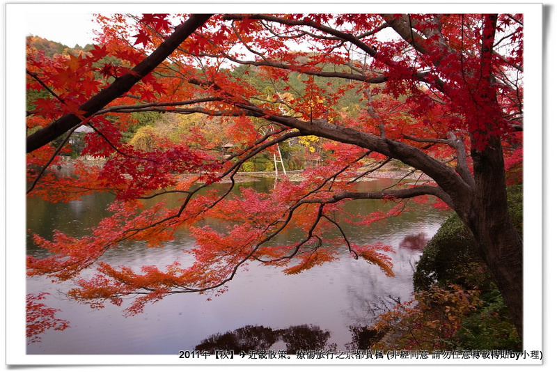 龍安寺034