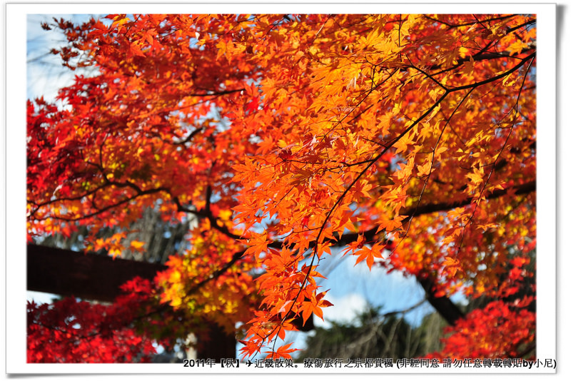 常寂光寺019