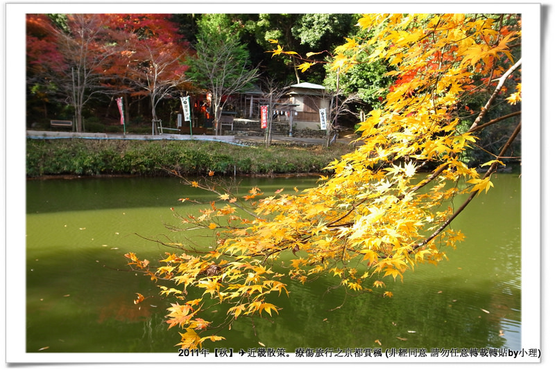 常寂光寺002