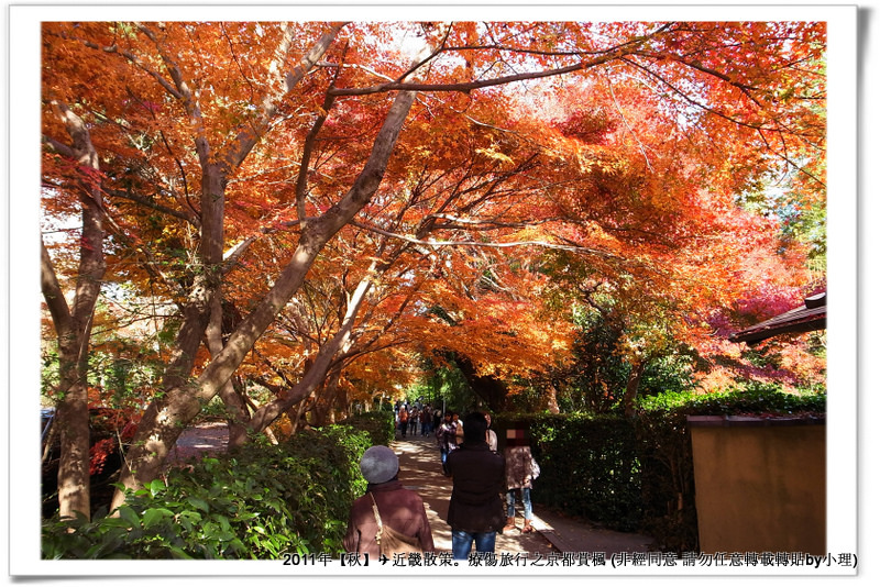 常寂光寺009