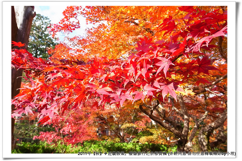 常寂光寺017