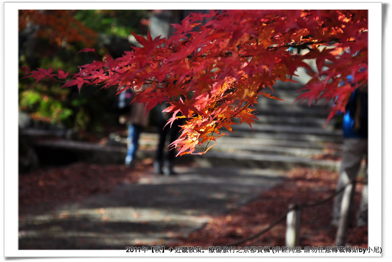 常寂光寺018