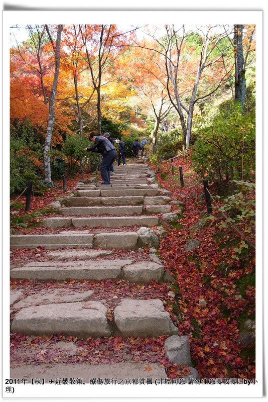 常寂光寺025