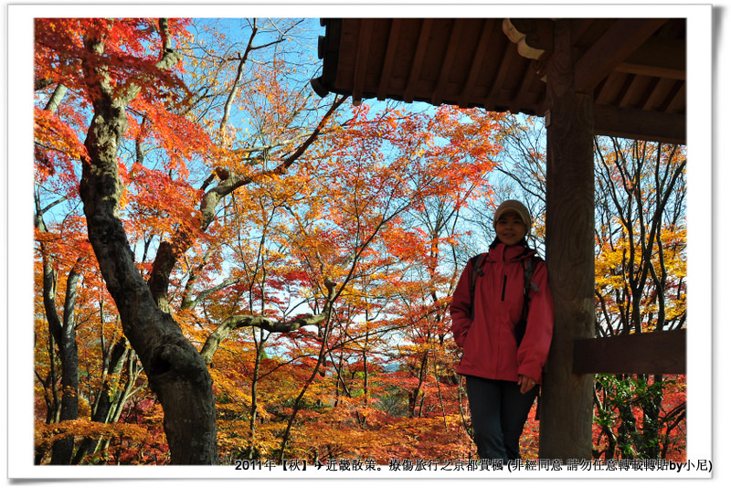 常寂光寺034