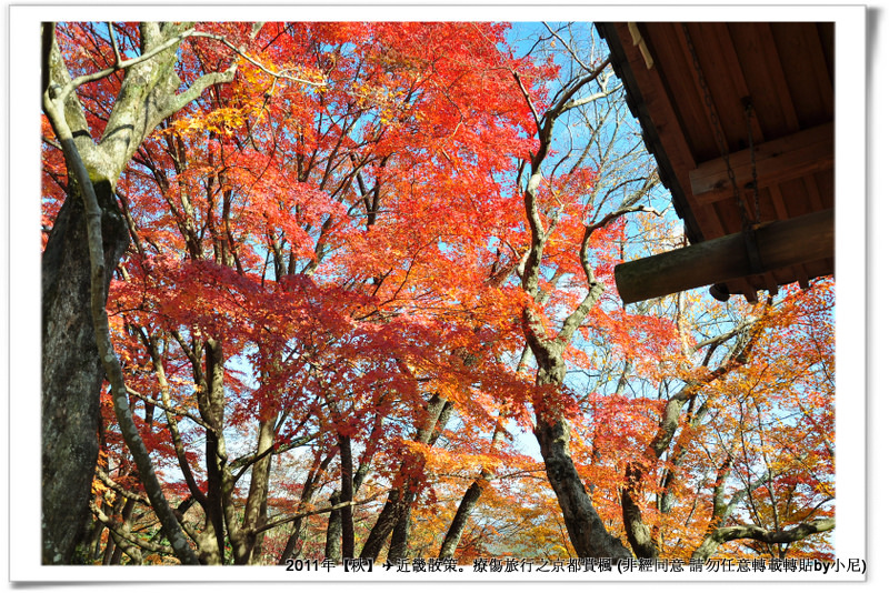 常寂光寺035