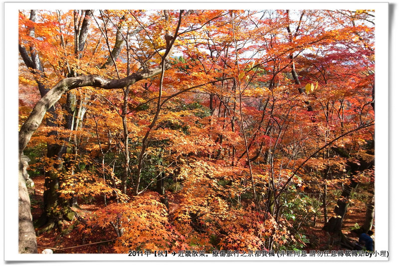 常寂光寺037